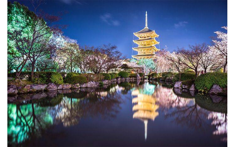 如何打造出讓市民滿意的公園亮化工程？